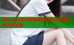 糖心vlog无可用路线的探索与实用解决方案分享