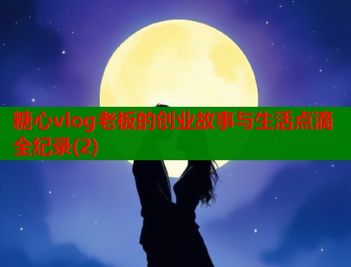 糖心vlog老板的创业故事与生活点滴全纪录(2)  第1张